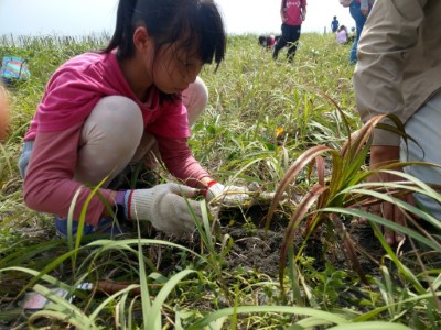 接力守護宜蘭海岸 學生合力種下小樹苗 (1)